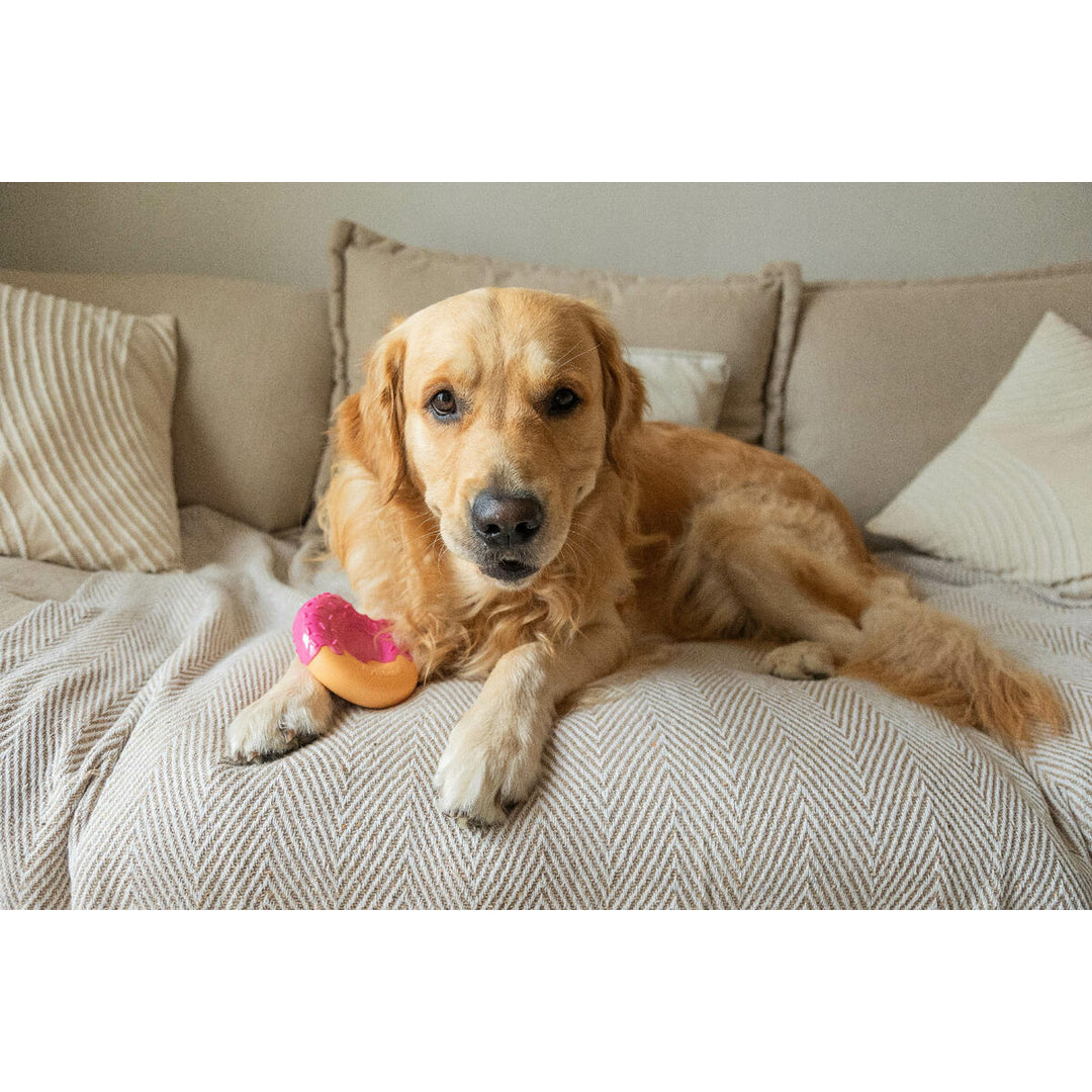 V6H77584461C6C6424A7517D14244D60D85R7427444P4