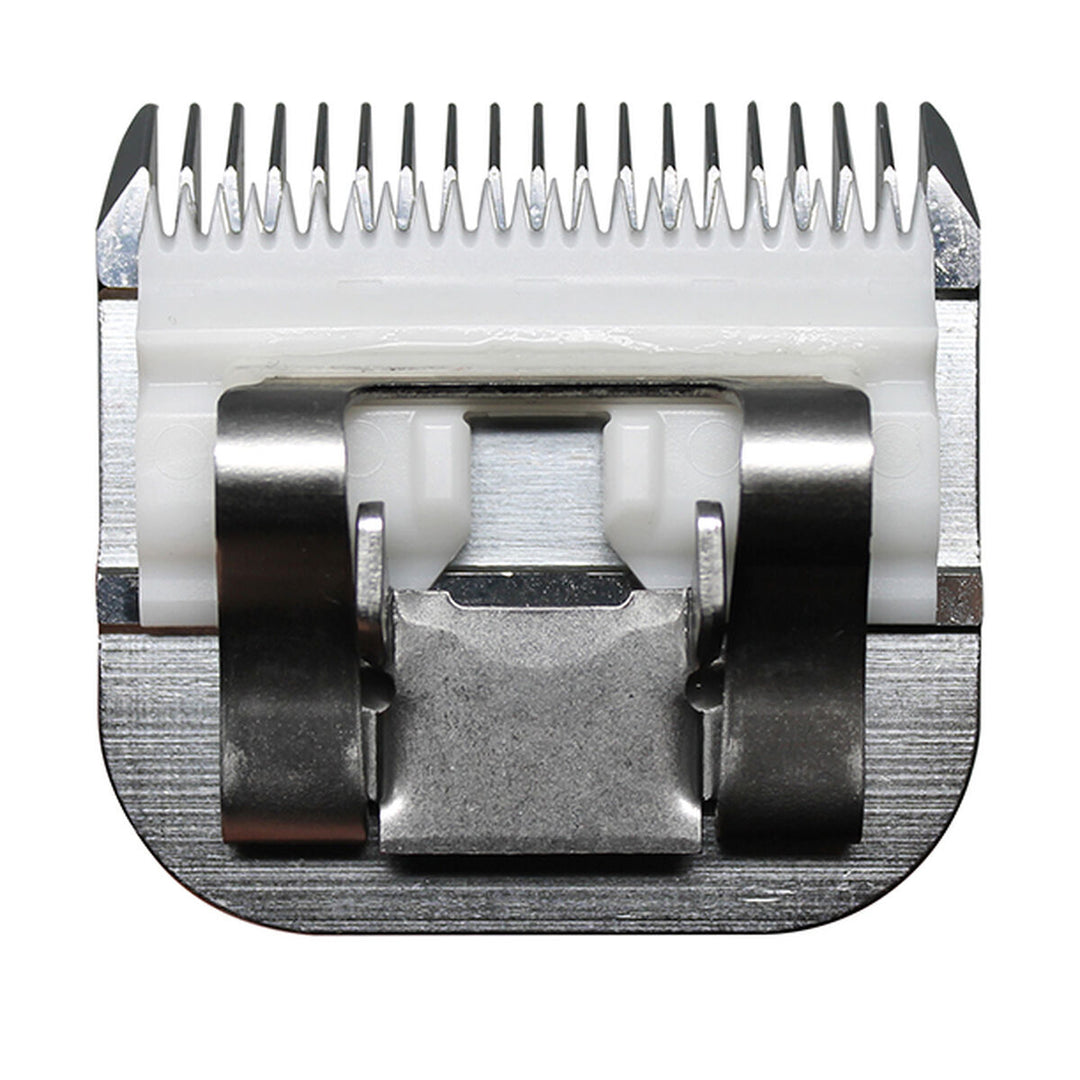 V5H4D7B9585DA488842E331481F72E3F631R5554754P4