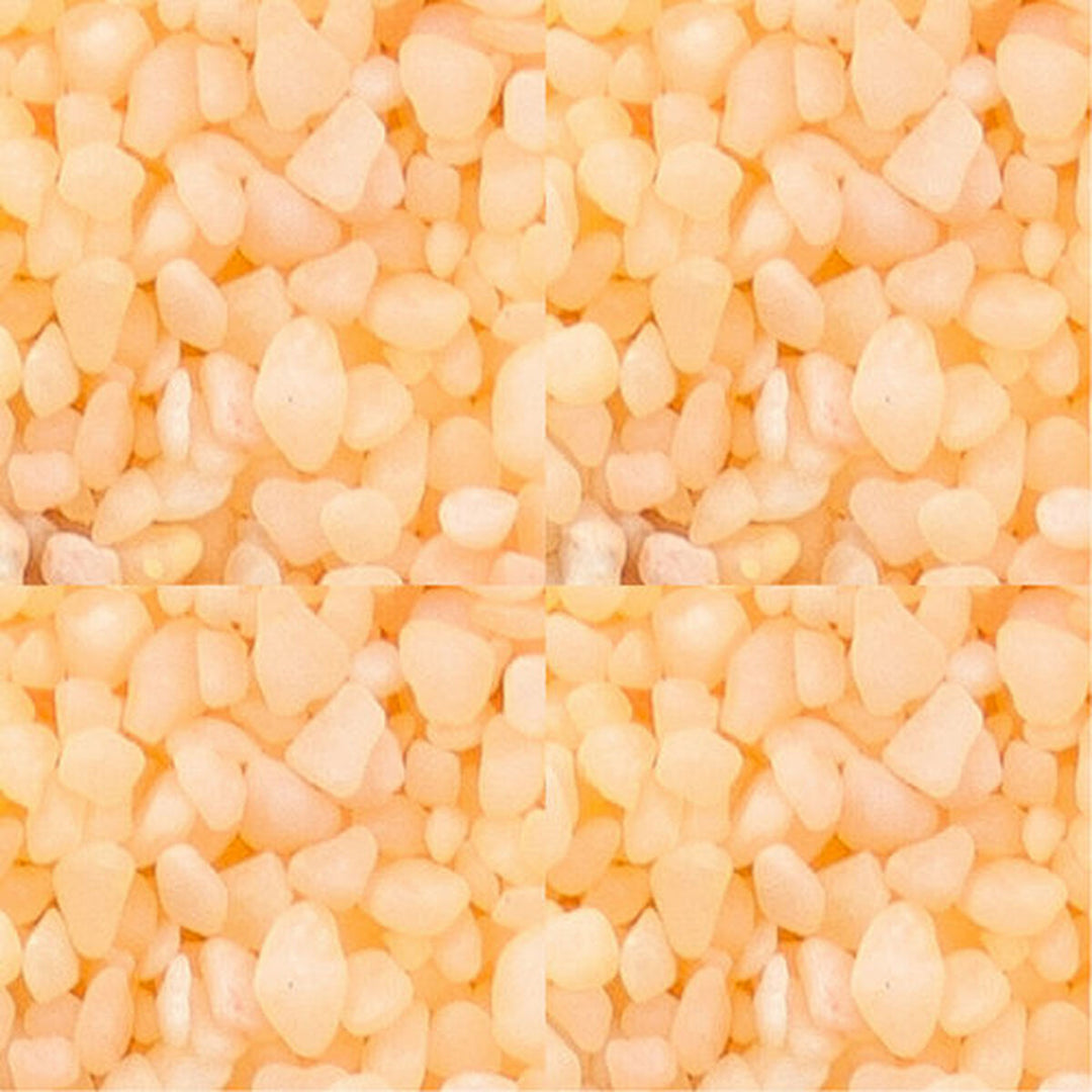 V6H1D6A2418416C6EE4C9B59B5212BD21DBR7444116P2