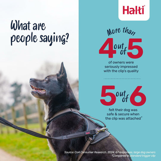 V4HA3A7B49269A37DFC46C0D27776F3B315R7140569P8