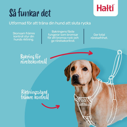 V4HF3A7C28CAE7EF5F60A4ABF4911137423R7523815P2