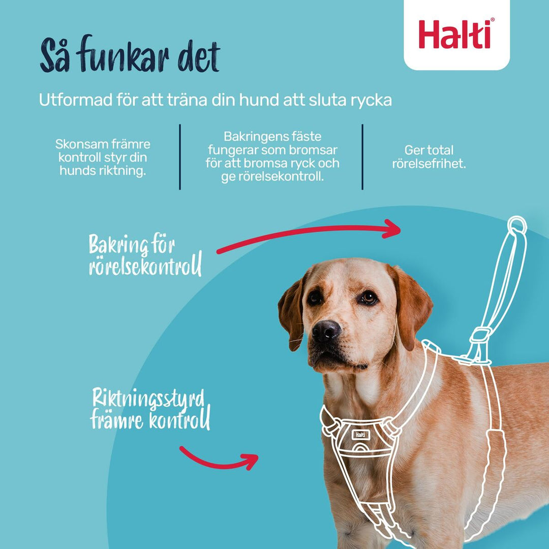 V4H85AA1193C1FF5D663FAC4D9CFB75632ER7523702P8