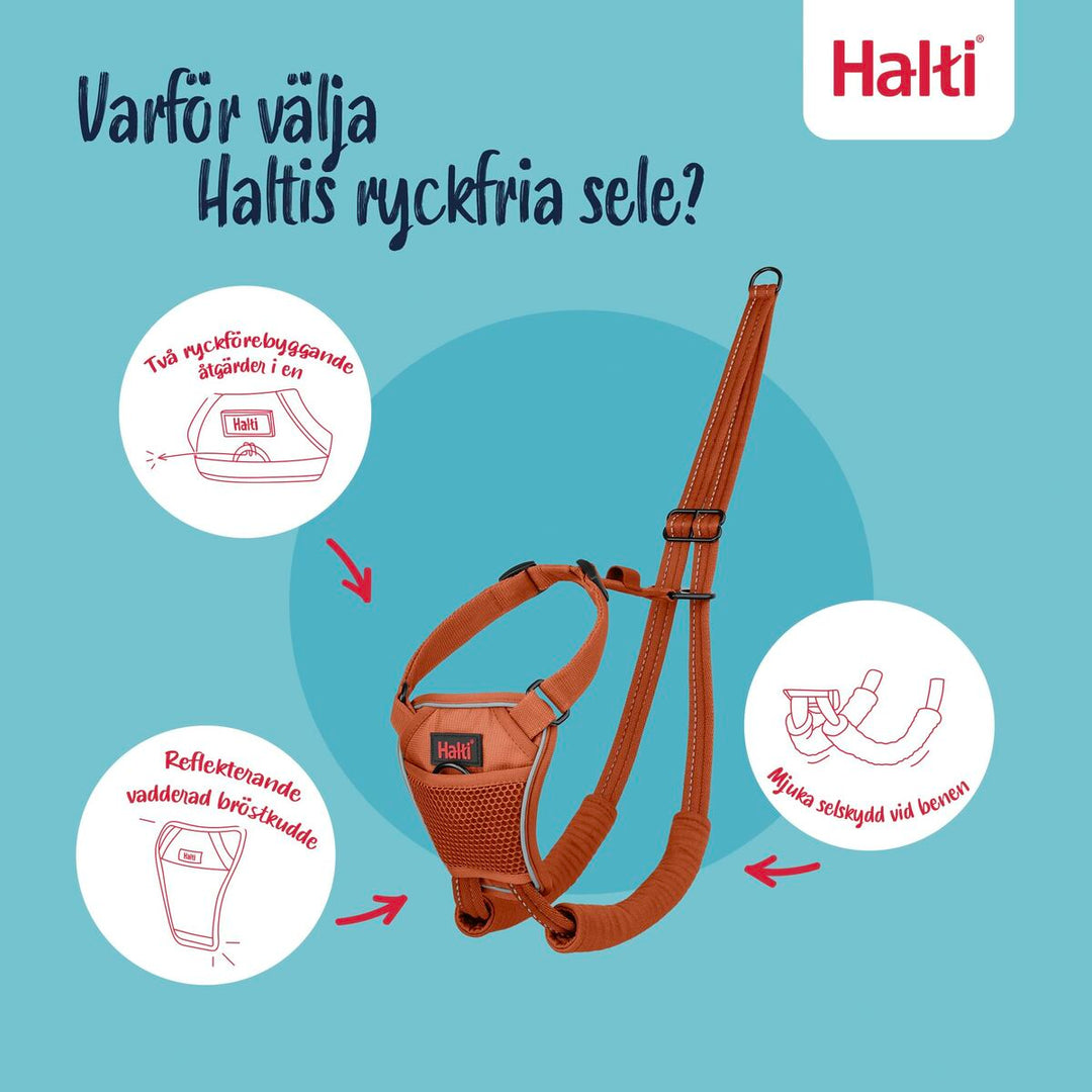 V4H64922E89C69E247D9C3DA45F03C02C15R7523703P9