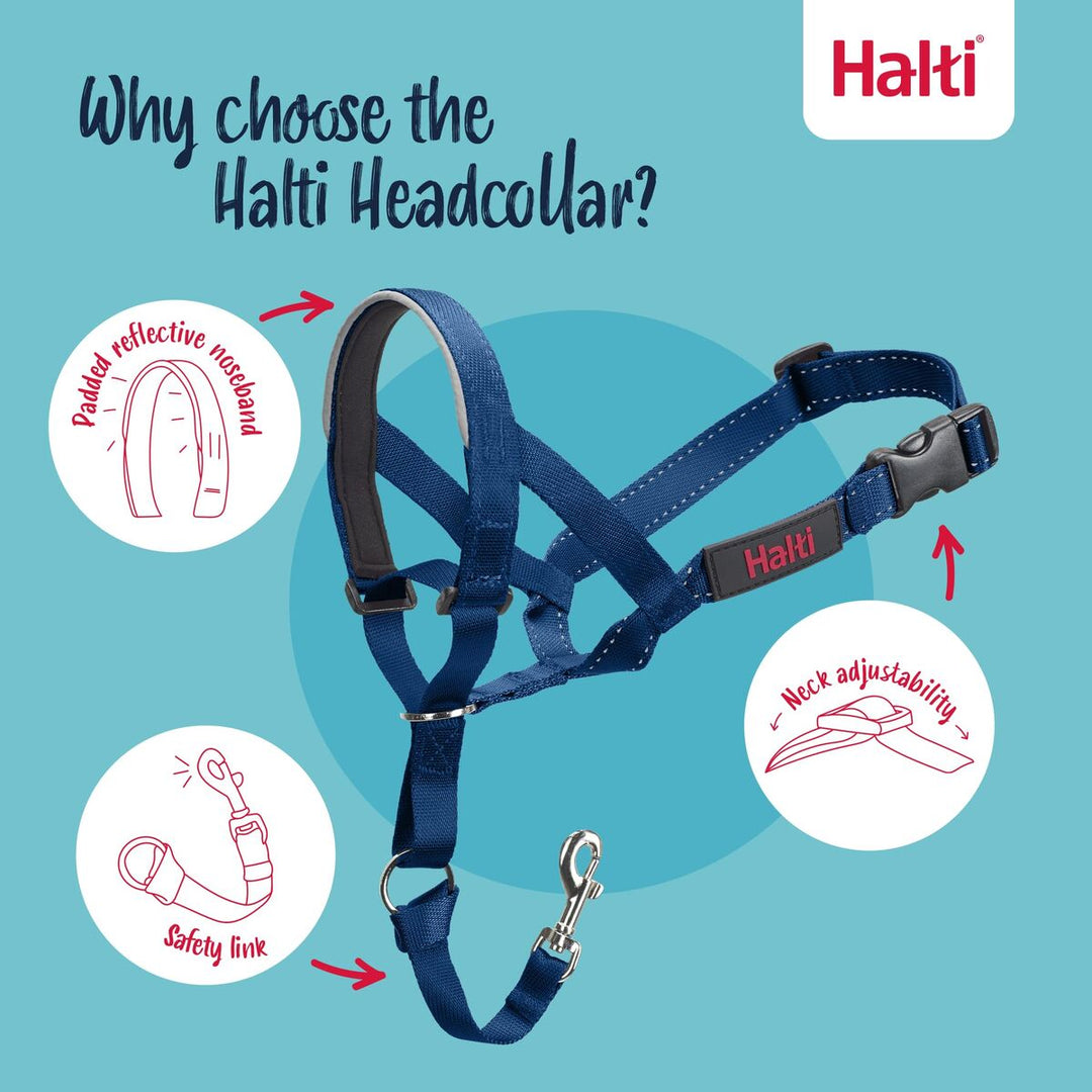 V4HCE23BA20FEB815808540957DEBC6B3EAR7523953P9