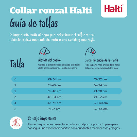 V4H5D461AE33C7E33BB95B0D787FA46EF05R7523946P2