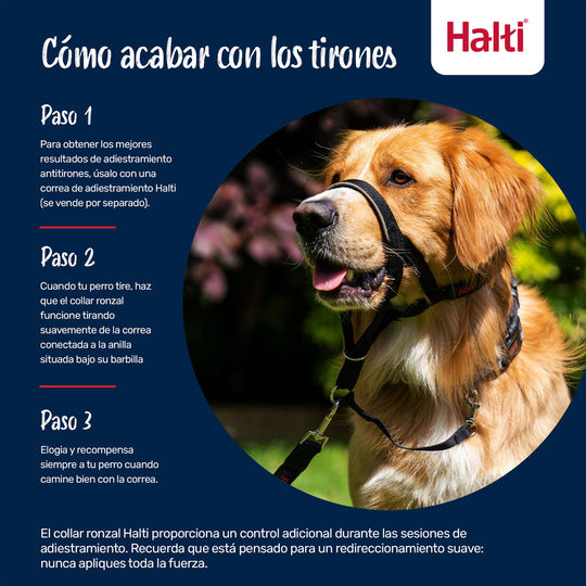 V4HE95582880B69B637EB14DE5CEDBF12B5R7523947P3