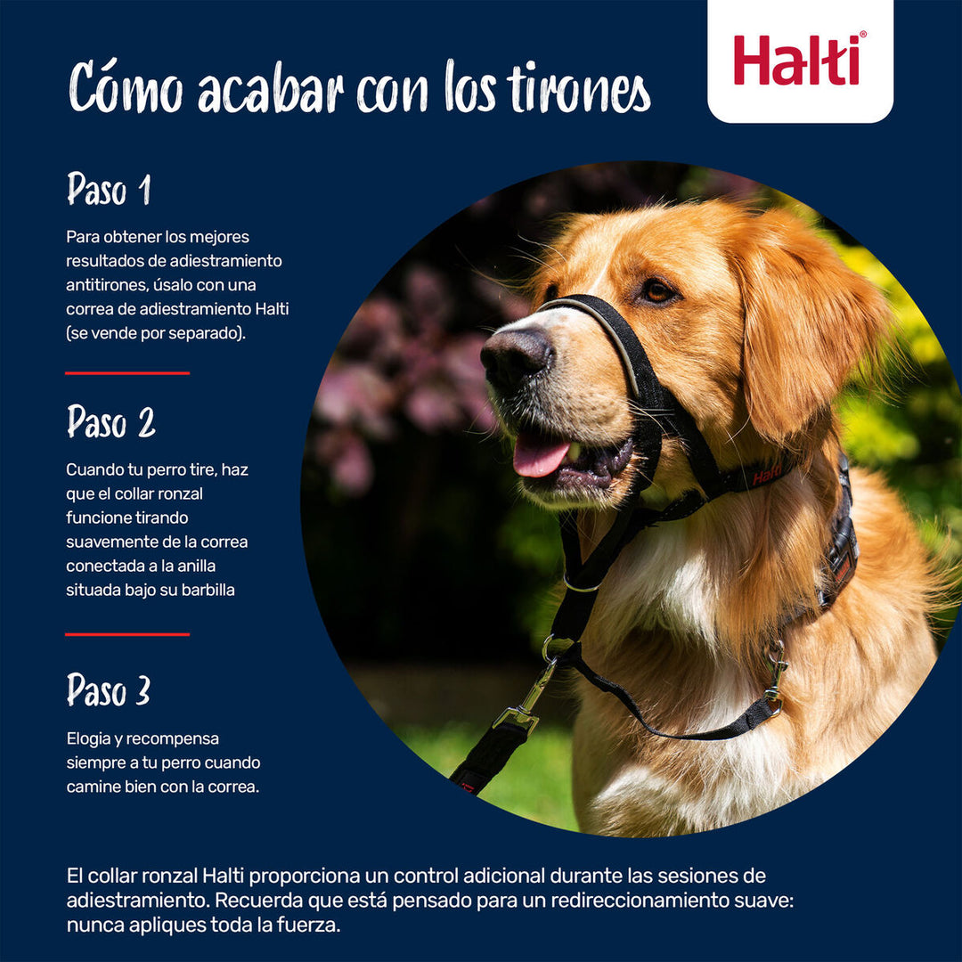 V4HBA278A0F9E4F499DE1EFF139C74B3766R7523894P7