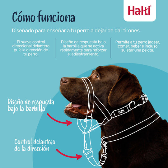 V4H9F834818324C1B3879BC54B81985D1D8R7523896P8