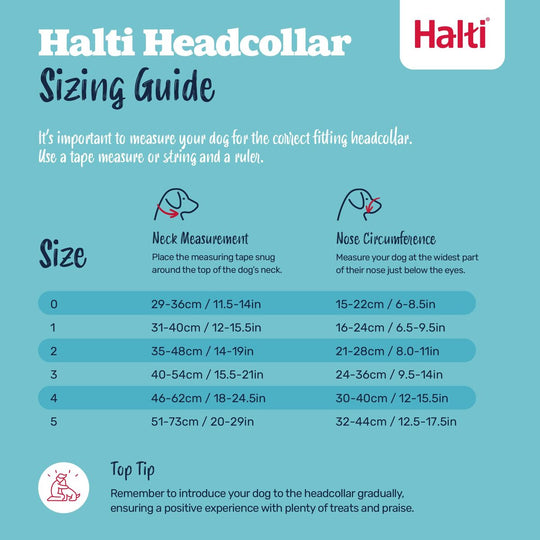 V4HDA350ACC8B20AE87C056F5E4879796CFR7523865P5