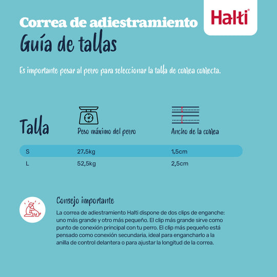 V4HAF26DFDEA312C88591DFAA3AFD8826E8R7522963P9