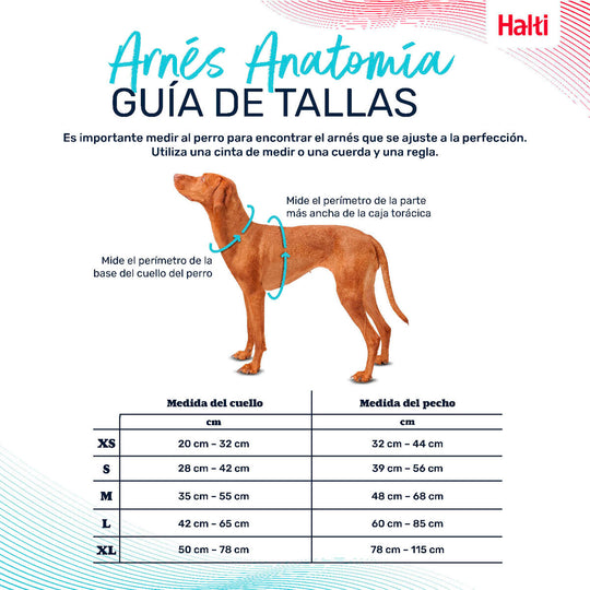 V6HD53EB70D5EA17904D8D90C4F0B1F539DR5328511P4