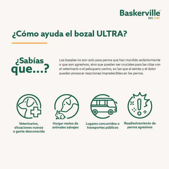 V6H52AC3D5D500079722ECEE8ECCFFE5560R5327549P3