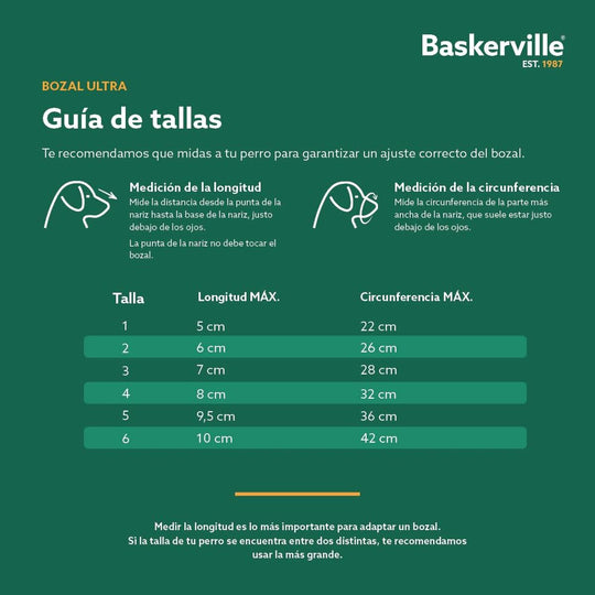 V6H1FC23208BB6219284408247D656B5D44R5327519P5