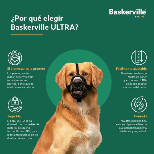 V6H9339020B5EA0CD43521AD5FE4602841CR5327524P7