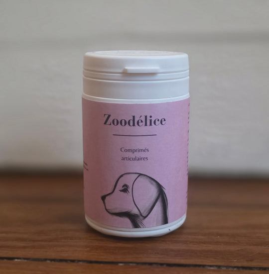 Comprimés articulaires pour chiens et chats – Zoodélice