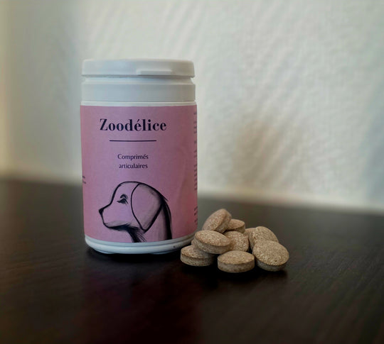 Comprimés articulaires pour chiens et chats – Zoodélice