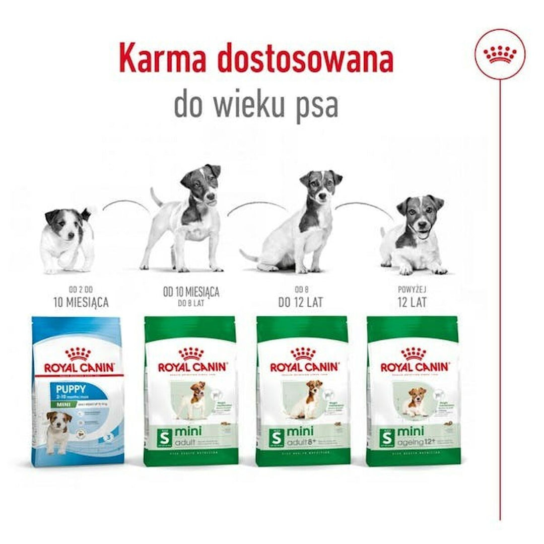 V4H7FD27A5916DB07FB91DF520A0875339AR4930389P3