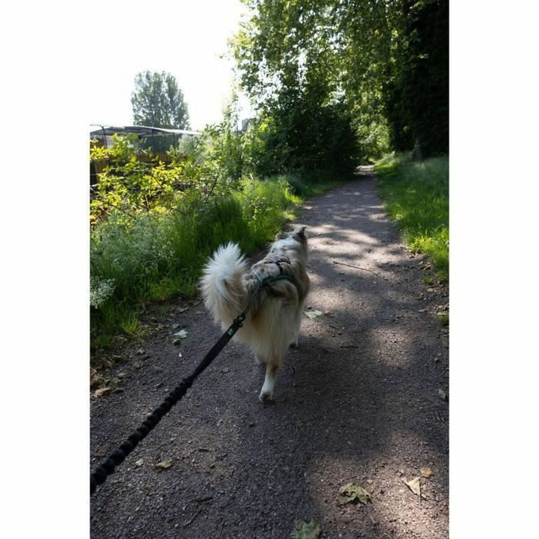 V5HE202529C3A3001DA18B48454FD087EBAR5776740P4