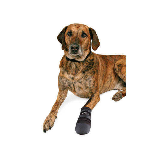 V5HC77E13FD0BA49B99C71A9F598C50640CR7440591P3