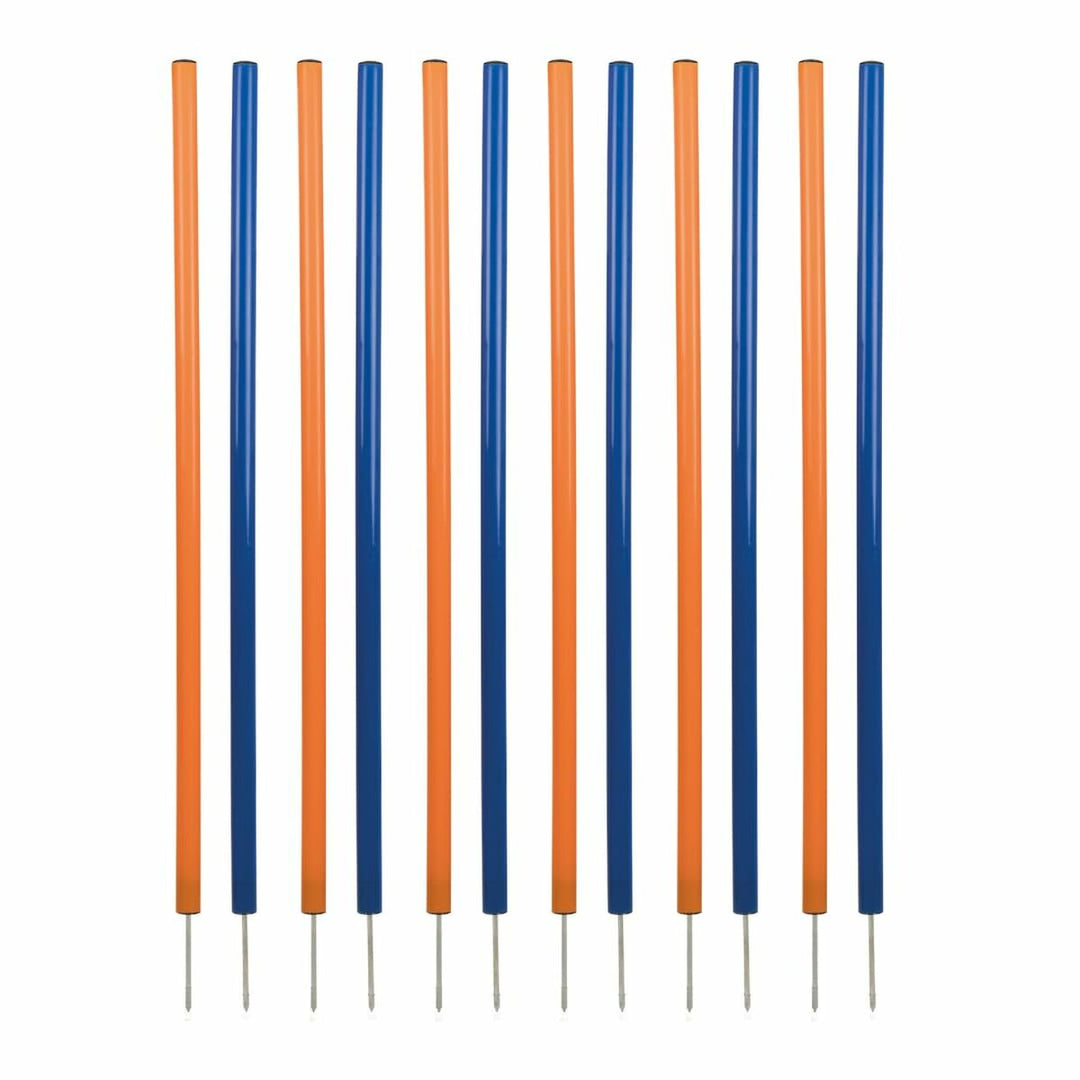 V5H0E1D33632766FA60CE1E5A698BCAF1E9R5763181P1