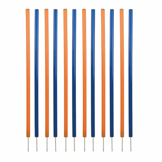 V5H0E1D33632766FA60CE1E5A698BCAF1E9R5763181P1