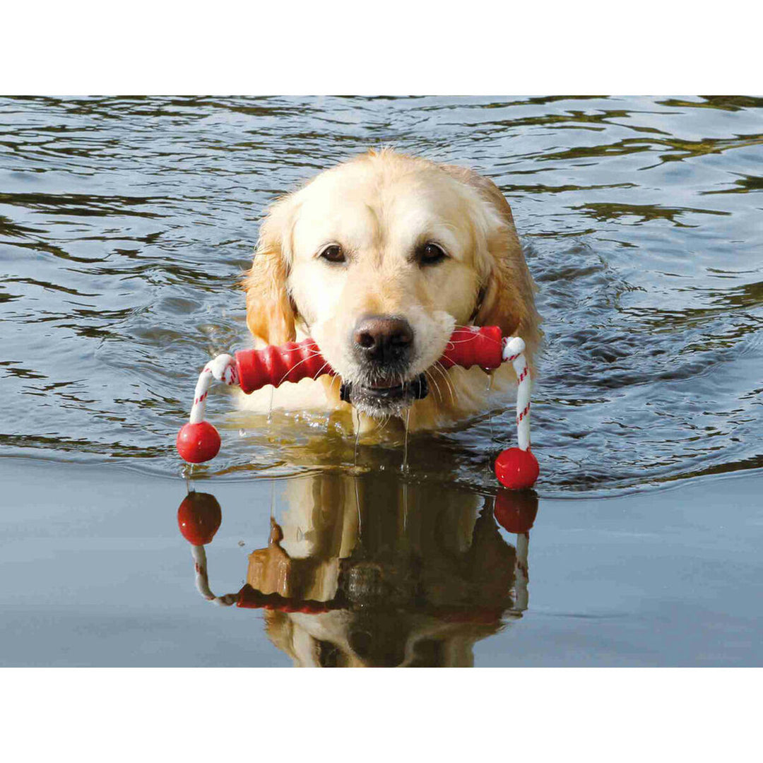 V7HEA8AA654B869B6D5212ADB2057BBBDE8R7443080P5