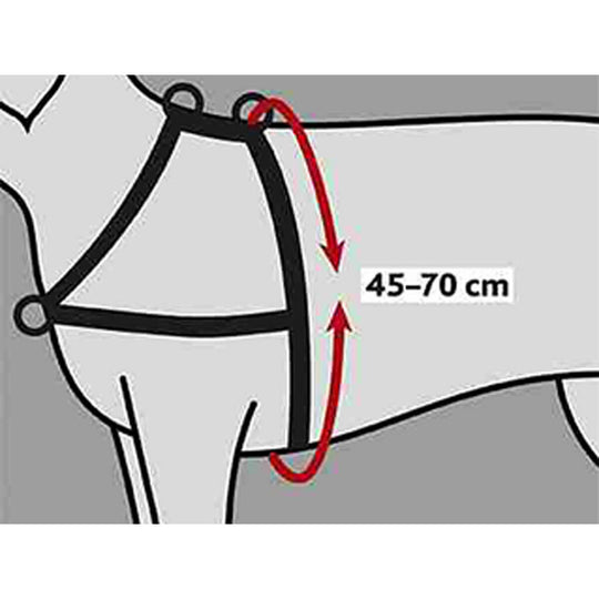 V8HDD7AB7C69E423EC9A6F295B3D8969F72R7441863P2