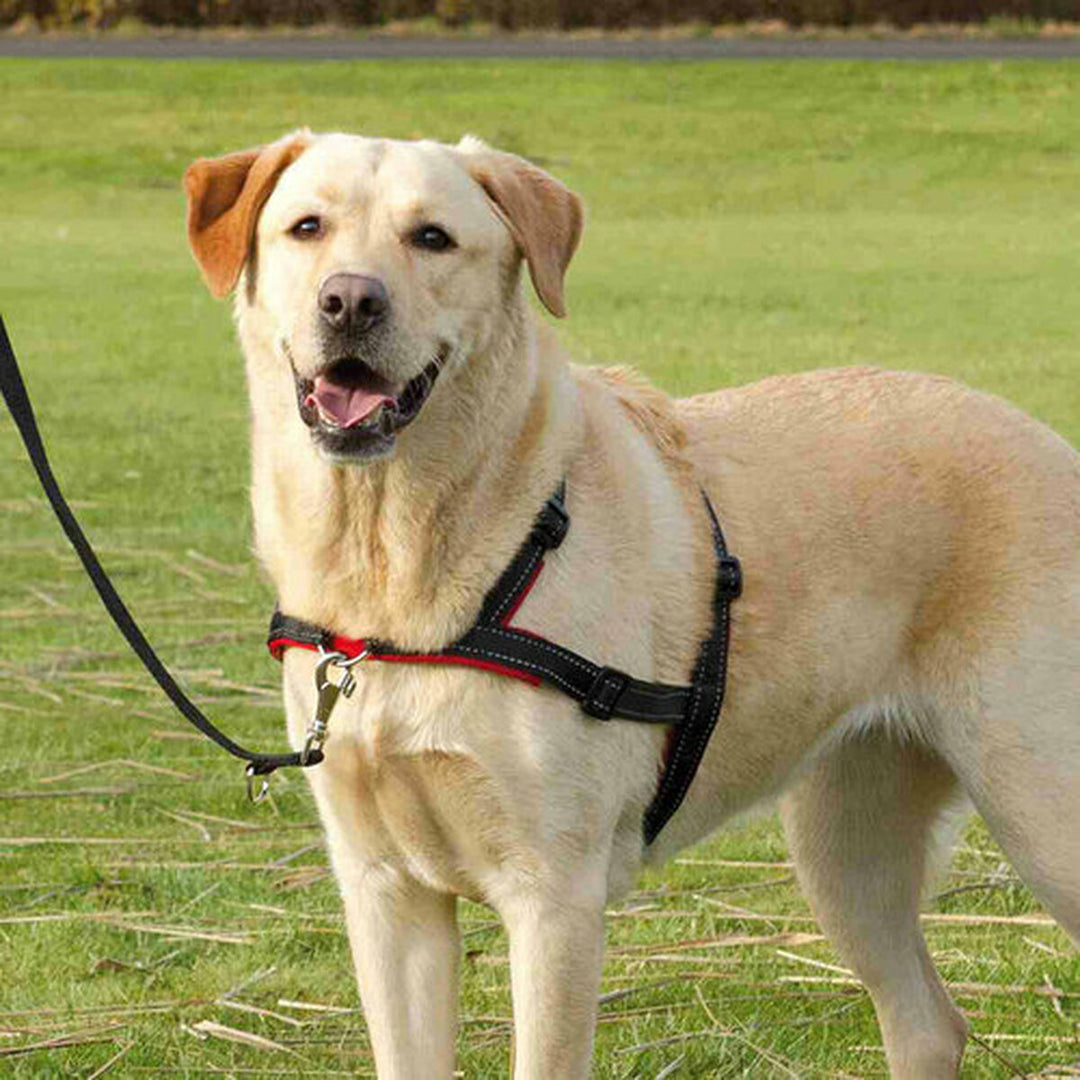 V8H0DCCEF46036F53BDC0AB316BA27FD48ER7441876P8