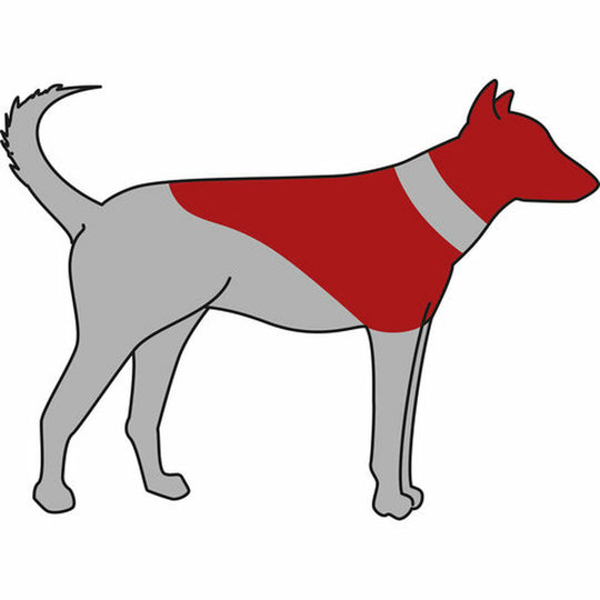 V7H85CE39E6A60143853EA7B47B2337C6EFR7440261P3