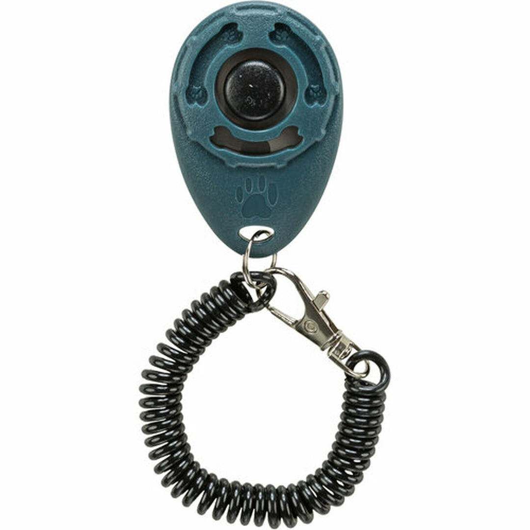 V6HD1B639795330B7AACC231A345992BDE5R7443368P6