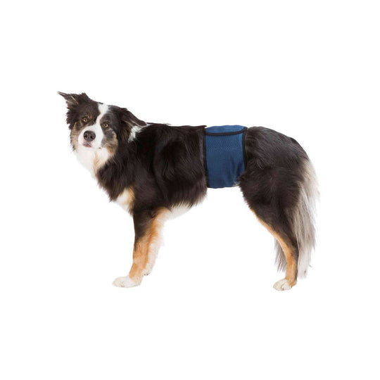 V7HFF6C5D8B6D0783C8DCD40D3C35E03A73R7444162P1