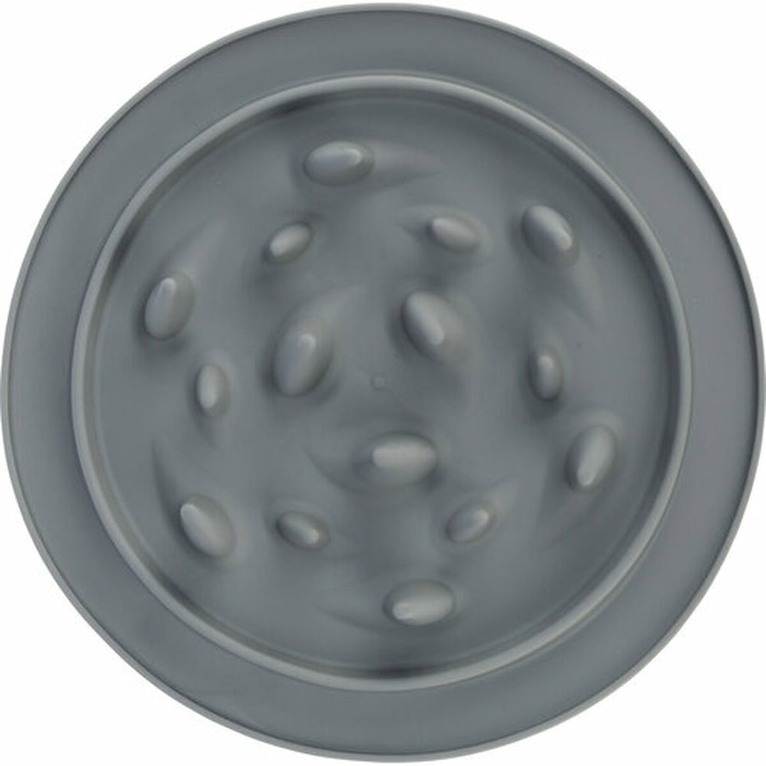 V9H10B2929875E0036F2E574D826E1394FDR7445737P6