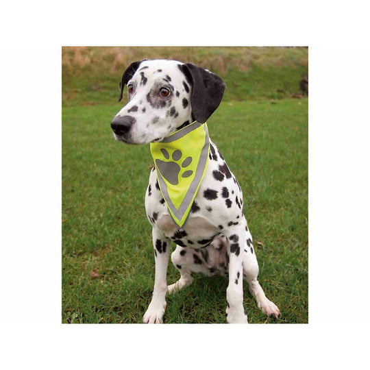 V6H3EA4740565B3F40D2110249847CDA683R7440226P3