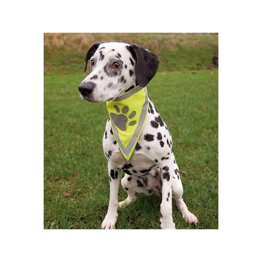 V6H94373F8041F15D9E067DB1074B2DBFB2R7439627P3