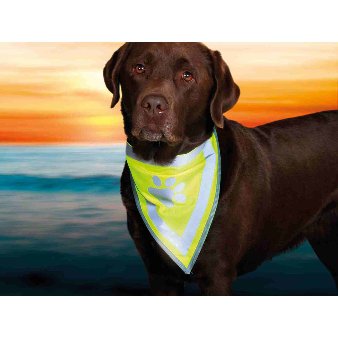 V6H93E7AB86B81215E35CF2F6BC55F3AF73R7439629P5