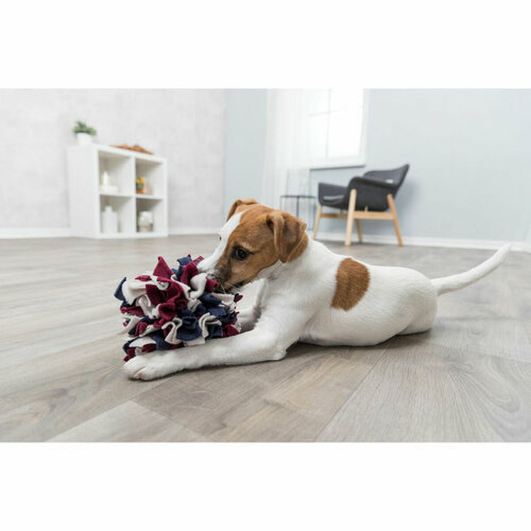 V9H8BA583B8582AE780360047BAE1473355R7454052P10