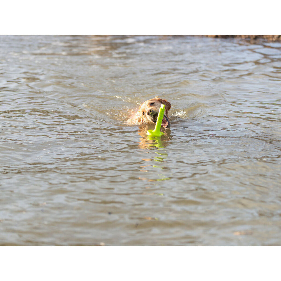 V8HD461802D8E9D4B9F6737655109C2538FR7443182P5