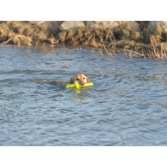 V8HFC1D36019B68C68AA5E751CD12E559D6R7443188P9