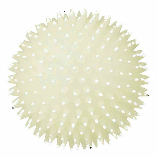 V8H0FB8872EC816BC9B17FDD4F9EE5337EDR7444132P4