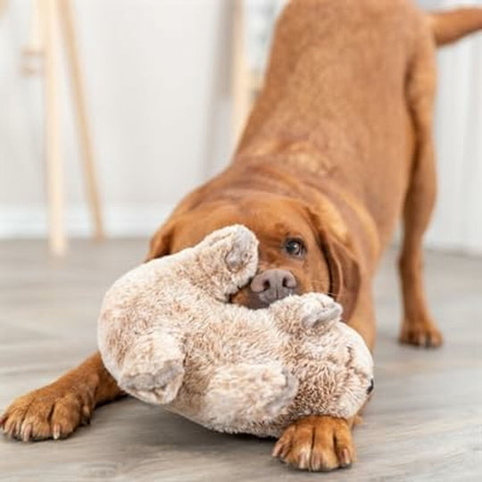 V8H14BA42EA9283B57F2A4833B69632EC1DR5432027P3