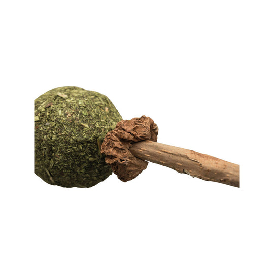 V6H1B734C366A619251246A5D45377B5719R7444839P3