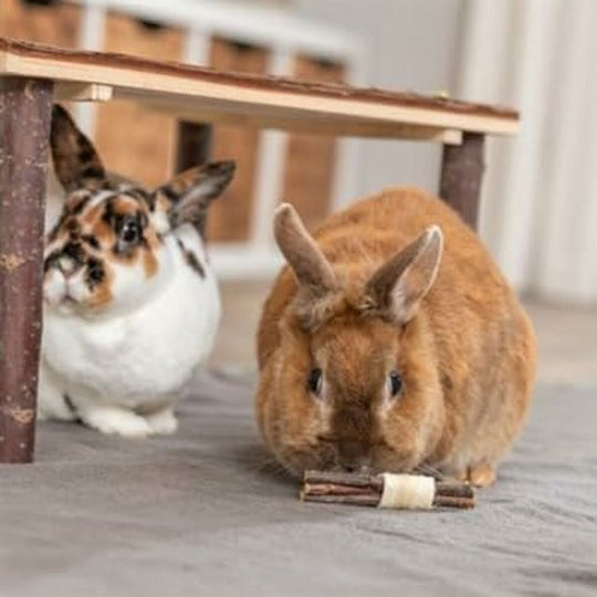 V7HC5063DB3A7E0F5BD938DB77AF22CCB0CR5448869P2