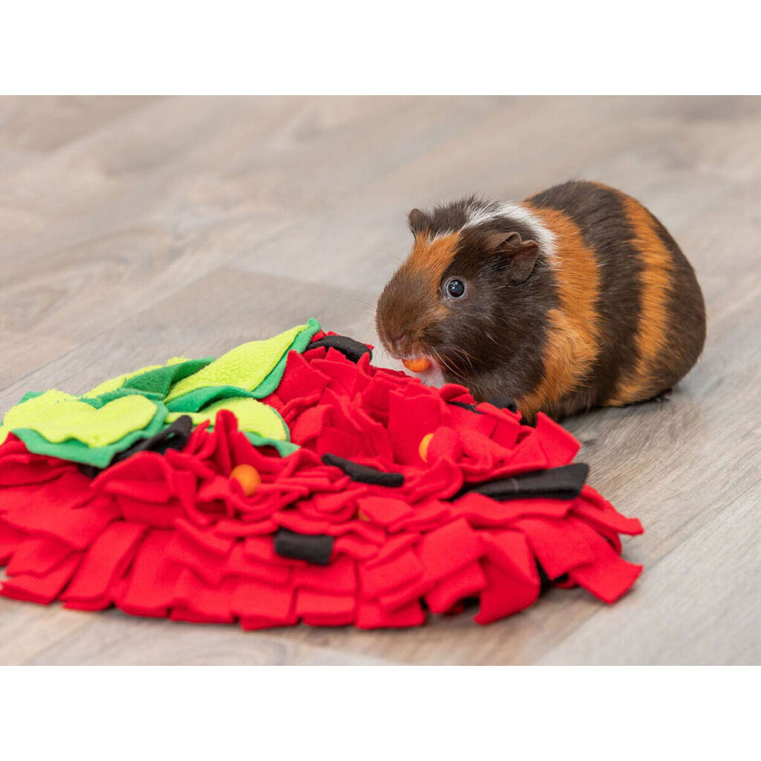 V6H04474D15ED64CFC5700C73BF0C2D8BAAR7459573P7