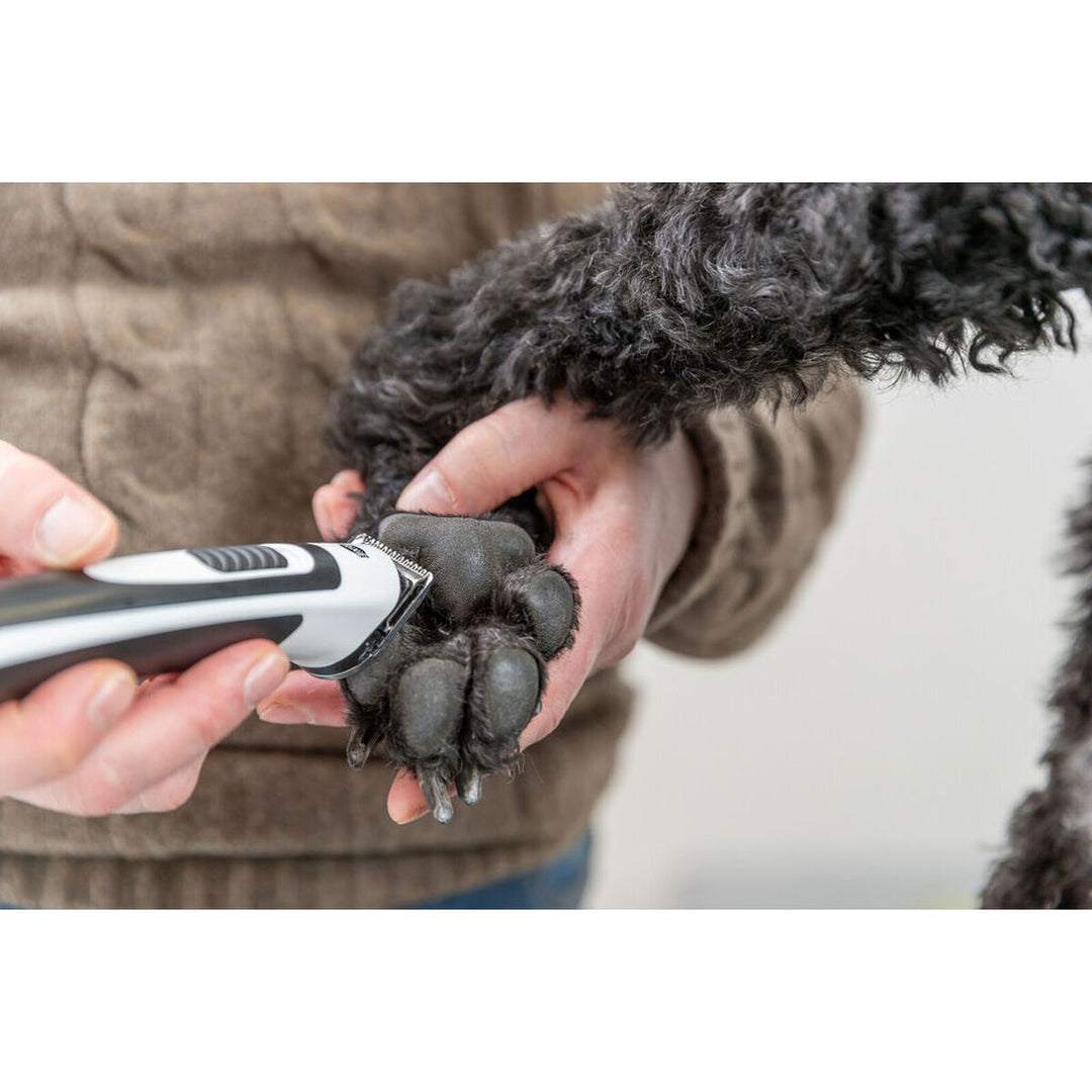 V1H1A6B685B36C101C19D240CD8AB1DDF91RP10