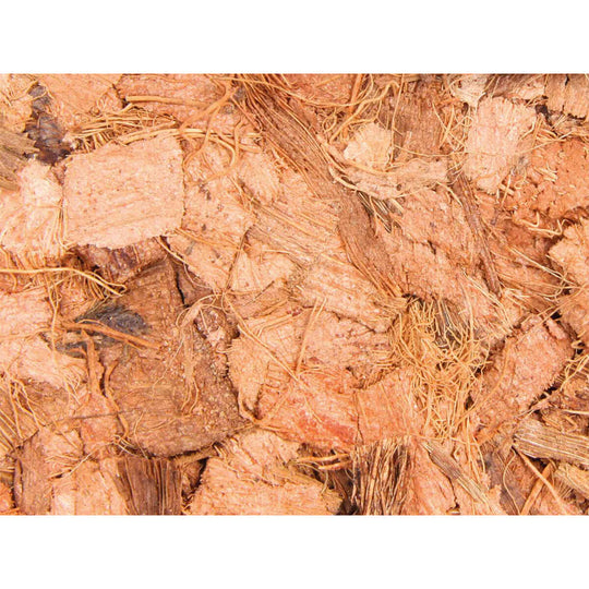 V6HB32E9AD624F9DD69F717D06F191C4975R7446378P5