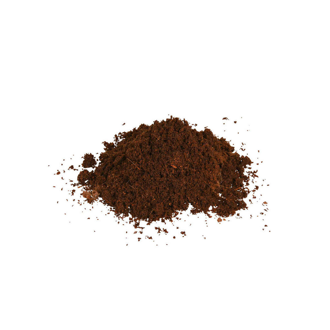 V6H1F336FF6A05C7F0C9BD518FAE72FA501R7446399P6