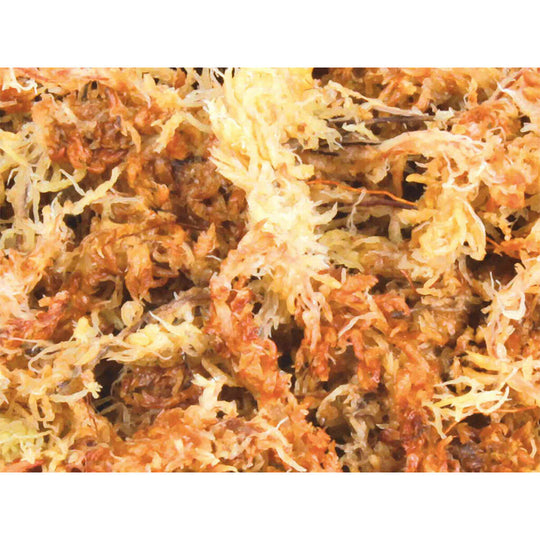 V6HCC3ACC4B7B736CC267644E25706B97B1R7446455P3