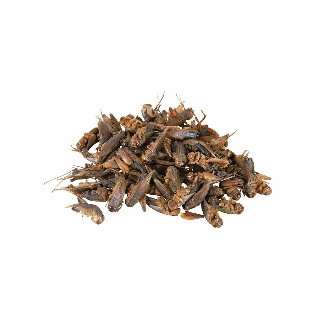 V7H443A0578E27CAF2CA7608F3F47957E0AR7447064P3