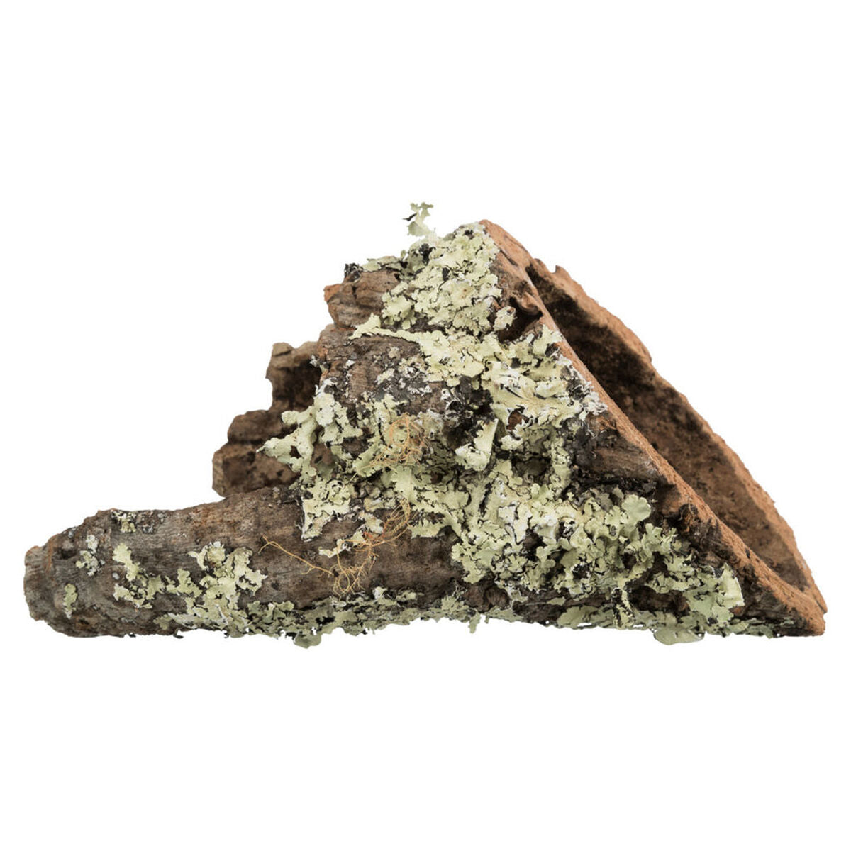 V7H96D7B8F8752F37C0698593CF236FE13CR7446165P1