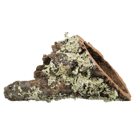 V7H96D7B8F8752F37C0698593CF236FE13CR7446165P1